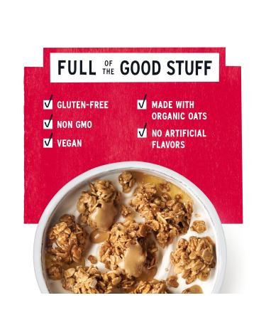 Purely Elizabeth Ancient Grain Granola Cranberry Pecan 12 Ounce - Buy Online on SooperMarket.com