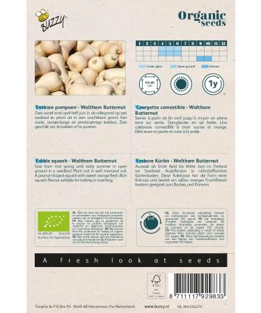 Buzzy Organic Edible Squash Waltham Butternut (BIO) - Content: Approx. 2 Grams - Buy Online on SooperMarket.com