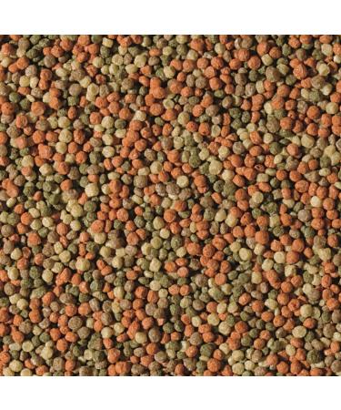 Tropical Pond Pellet Mix - Small - 650 g - Buy Online on SooperMarket.com