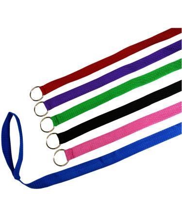 Downtown Pet Supply - 6ft Dog Kennel Slip Lead Dog Leash - Veterinarian, Dog Grooming, Daycare & Animal Rescue Dog Supplies - One Size Leads for Dogs Bulk - 1" Thick 6 Pack