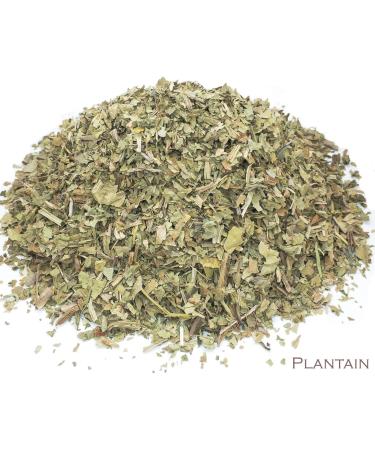 Plantain Leaf and Iron Goddess Oolong Tea Herbal Infusion (25 Unbleached Tea Bags - 50g) - Buy Online on SooperMarket.com