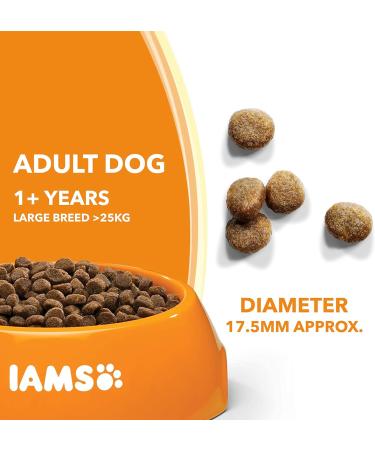 IAMS Complete Dry Dog Food for Adult 1+ Large Breeds with Lamb 12 kg Lamb 12 kg (Pack of 1) - Buy Online on SooperMarket.com