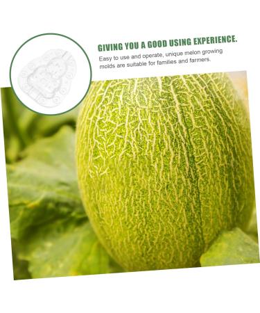 Happyyami Gardening Tool 6 Pcs Vegetable Mold Fruits Shaping Planting Small Mold Shaper Multifunction 9x8cmx2pcs Transparentx2pcs - Buy Online on SooperMarket.com