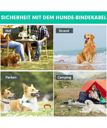 Dog Endanger Posts with Spring - Durable Ground Anchors for Large Dogs Training & Camping 1 Pack - Buy Online on SooperMarket.com
