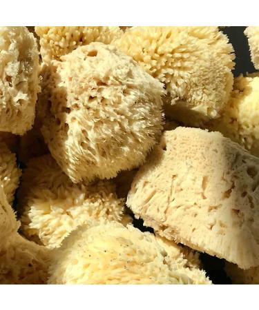 LATHER Natural Sea Wool Sponge - Large Bath and Shower Loofah for Self Care and Body Wash - Buy Online on SooperMarket.com