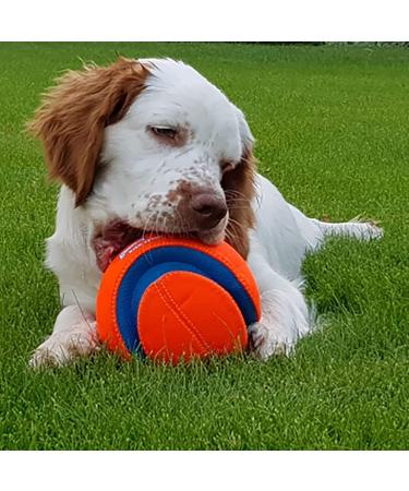 Chuckit! Large Regular Glow Ball - Bright and Durable Fetch Toy - Buy Online on SooperMarket.com