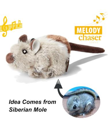 Vealind Interactive Cat Toy 2 Pack - Electronic Bird & Mouse with Sound | Ideal for Cats | Best Quality Pet Toys - Buy Online on SooperMarket.com