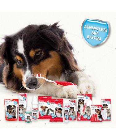 Beaphar Dental Sticks for Small Dogs - Natural Sea Algae Dental Care Snack 7 Pieces 112g - Sugar-Free Treats for Healthy Teeth - Buy Online on SooperMarket.com