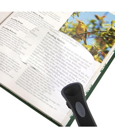 Carson LED Lighted RimFree Magnifier with Soft Pouch Rectangular Rimless Magnifier - Buy Online on SooperMarket.com