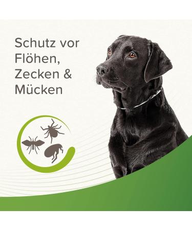 Beaphar Tick & Flea Protection Collar for Dogs - Waterproof Reflective Collar Effective Tick & Flea Defense International Shipping - Buy Online on SooperMarket.com