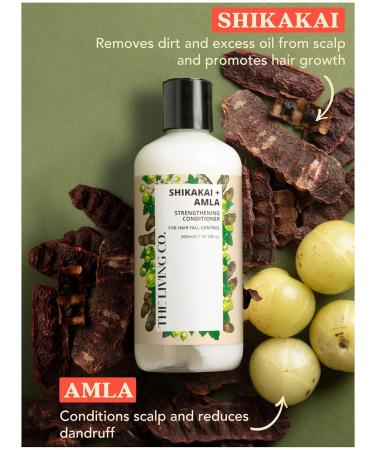 Strengthening Conditioner for Hair Fall Control - Shikakai & Amla - 300ml | International Shipping - Buy Online on SooperMarket.com