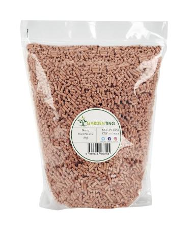 Garden Ting Berry Suet Pellets Wild Bird Food 3kg