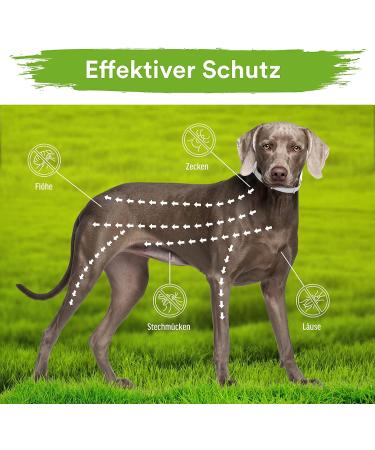 MC-Royal Deluxe Tick Collar for Dogs | 100% Natural Ingredients | 8 Months Reliable Tick Protection - International Shipping Available - Buy Online on SooperMarket.com