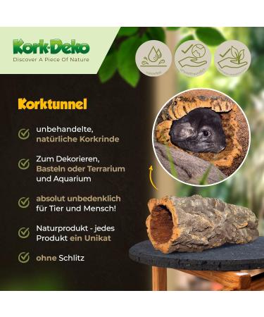 Cork Bark Tube 30 cm (Rodent Reptile Vivarium) cork wood tree oak 11-14 cm | cleaned & sanitised - Buy Online on SooperMarket.com
