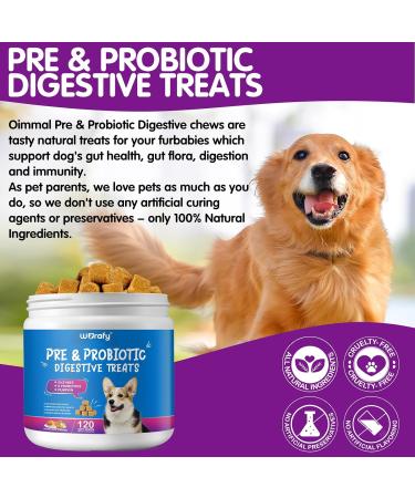 Pre and Probiotics for Dogs - Probiotic Dog Chews Support Digestive Health Gut Health Itchy Skin Yeast Balance Allergies Immune Health - Duck Flavor - 120 Soft Chews - All Ages All Breeds - Buy Online on SooperMarket.com
