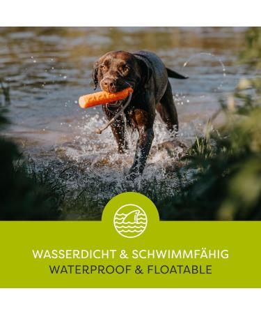 HP & G Home Orange Apportier Dummy for Dog Training - 24 cm Durable & Robust Ideal for Pets & Garden - Buy Online on SooperMarket.com