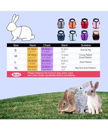 Niteangel Adjustable Soft Harness for Rabbit (L Purple) - Elastic Leash Included | Shop Internationally - Buy Online on SooperMarket.com