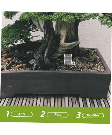 HAPINARY 3pcs Mini Liquid Feeder Ants Water Feeding Clear Ants Feeder Plastic Insect Feeder - Buy Online on SooperMarket.com