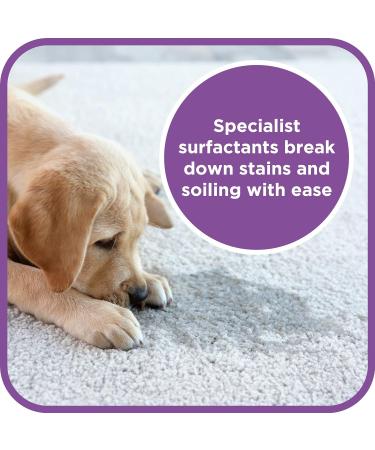 Pet Magic 5 Litre Pet Dog Carpet Cleaning Shampoo Solution | Tough on Stains and Odours | Suitable for all Machines | Fresh Linen Fragrance (1 Pack) - Buy Online on SooperMarket.com