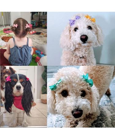 50 Pcs Tiny Baby Hair Clips - Alligator Clips Hair Bows for Girls in 25 Pairs - Hair Barrettes for Infants and Toddlers - Assorted Colors - Buy Online on SooperMarket.com