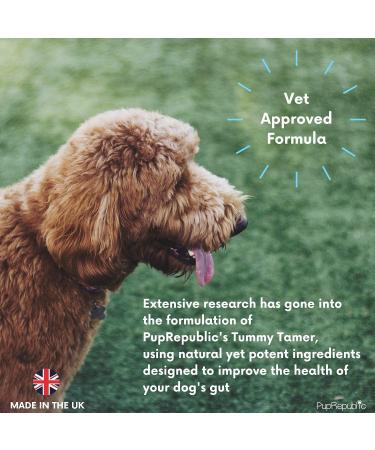 PupRepublic Fast Acting dog diarrhea treatment - Digestive Disorders - More Effective than Kaolin - Sickness & Allergy Relief for Dogs of All Breeds & Sizes 250 ml (Pack of 1) - Buy Online on SooperMarket.com
