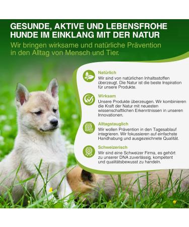 BogaProtect Spot On for Dogs - Natural Flea & Tick Protection (10-20 kg) | 12 Weeks Supply | UBO0352 - Buy Online on SooperMarket.com