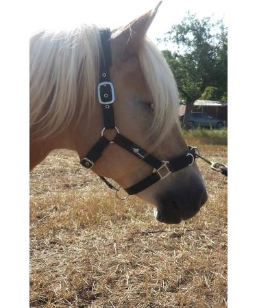 JF-Reitsport Cavesson Pro 2021 - 4-Way Adjustable Soft & Shock-Absorbing Padded for Warmbloods | International Shipping Available - Buy Online on SooperMarket.com