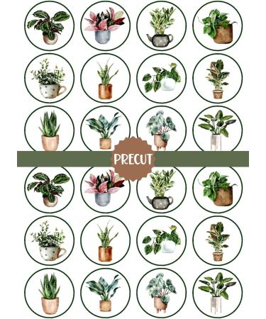 PRECUT Plants Edible Cupcake Toppers - Crazy Plant Lady Theme Premium Thickness SWEETENED VANILLA - wafer card disc cake decorations (Pack of 12) - Buy Online on SooperMarket.com