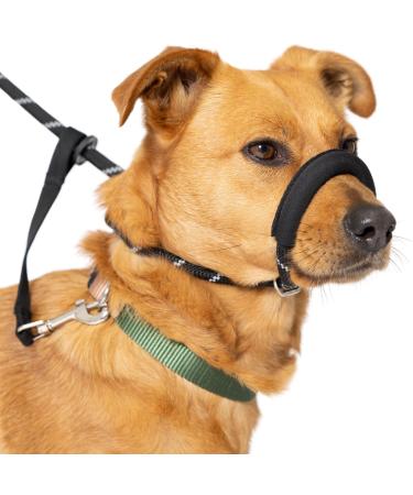 Total Pet Figure of 8 Dog Lead - Anti Pull Stop Dogs Pulling - Rope Slip Leads with Padded Nose Support (Medium/Large) Black