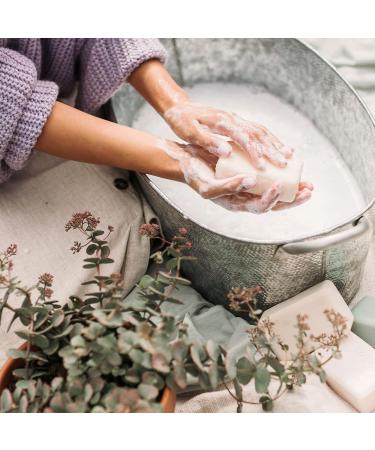 Beekman 1802 Goat Milk Soap Bar Fig Leaf 9 oz - Nourishing, Moisturizing & Hydrating Body Soap - Ideal for Sensitive Skin - Cruelty Free - Buy Online on SooperMarket.com