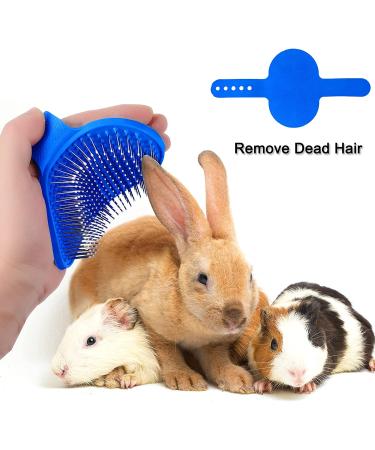 Bunny Grooming Kit: Rabbit Brush, Hair Remover, Nail Clipper, Comb & Bath Brush in Blue - Buy Online on SooperMarket.com