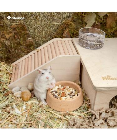 Niteangel Wooden Hamster Feeding Bowl - Small Animal Food Dish for Dwarf Syrian Hamsters Gerbils Mice Degus or Other Similar-Sized Small Pets (Hammy Pattern for Dwarf) Beige Hammy Pattern For Dwarf - Buy Online on SooperMarket.com