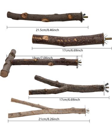 5PCS Natural Wood Bird Perches for Parrot - Wooden Stand Branches for Small Birds - Cage Accessories for Parakeet, Budgies, Cockatiels, Conure, Lovebirds - Buy Online on SooperMarket.com