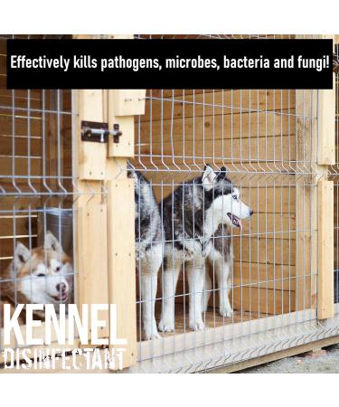 ULTIMA-PLUS XP Kennel Kleen 5L - Disinfectant Cleaner & Sanitiser with Bubblegum Fragrance - Concentrated for Kennels, Catteries & Hatches - Buy Online on SooperMarket.com