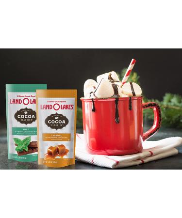 Land O'Lakes 7 Flavor Hot Cocoa Mix Gift Basket - 30 Pieces | Perfect Gifts for Family, Friends, Him, Her | 30 Count - Buy Online on SooperMarket.com