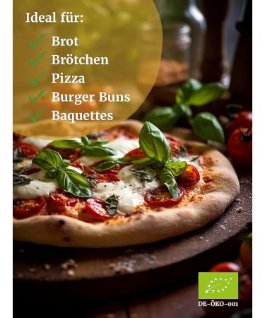 Bakery Spiegelhauer Bio Lievito Madre 200g - Fresh Organic Wheat Sourdough for Bread Rolls Pizza & Ciabatta - Yeast-Free Baking Solutions - Buy Online on SooperMarket.com