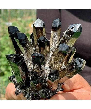 Natural Crystal Rough Crystals 1pc Black Phantom Quartz Crystal Cluster (Size : 900-1000g) - Buy Online on SooperMarket.com