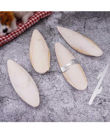 Bohoman 4-Piece Sepia Shell Parrot Chewing Toys with Metal Holders - Ideal for Birds Reptiles & Snails | 12-14cm - Buy Online on SooperMarket.com