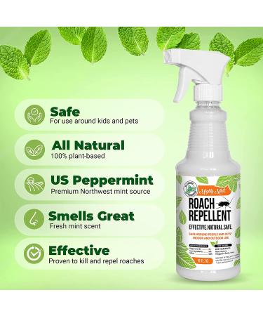 Mighty Mint 16oz Natural Peppermint Oil Spray - Cockroach Repellent - Buy Online on SooperMarket.com