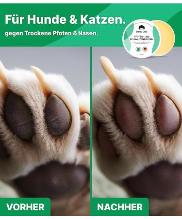 EMMA Gr n Pfotenbalsam 100ml for Dogs & Cats - Natural Paw Care with Propolis & Beeswax | Protect Cracked Paws - Made in Germany - Buy Online on SooperMarket.com