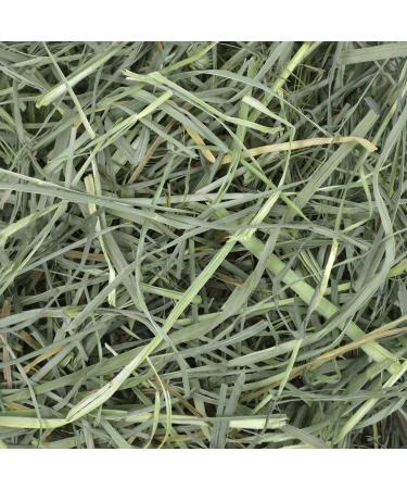 Oxbow Orchard Grass Hay - All Natural Hay for Chinchillas, Rabbits, Guinea Pigs & More - Buy Online on SooperMarket.com