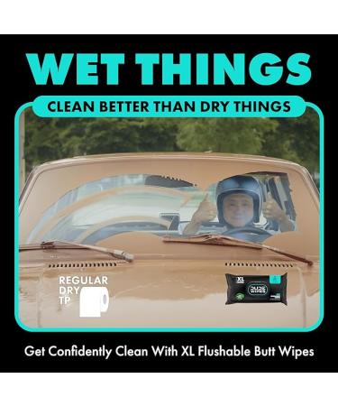 Dude Flushable Wet Wipes 3-Pack - Mint Chill - 144 Count - Vitamin-E  Aloe  Eucalyptus & Tea Tree Oils - Septic Safe - Buy Online on SooperMarket.com
