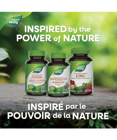 Nature s Way Marshmallow Root - Dry Cough Relief with Marshmallow Root - 100 Vegetarian Capsules - Buy Online on SooperMarket.com