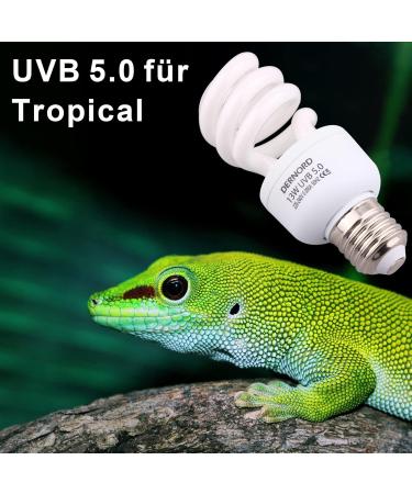 Dernord UV Lamp for Reptiles - 13W 5.0 UVA/UVB Terrarium Light Bulb for Budgies Leopard Geckos & Turtles - Optimal Heat Lamp - Buy Online on SooperMarket.com