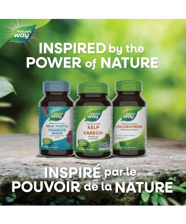 Nature's Way Kelp Thyroid Support 100 Vegetarian Capsules 100 count (Pack of 1) - Buy Online on SooperMarket.com