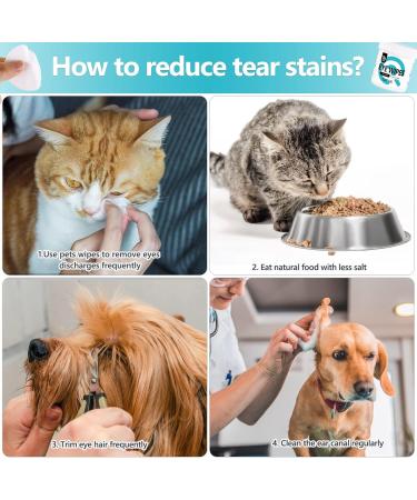 Darkhaden Pet Care Wipes - 150 Hypoallergenic Wet Wipes for Dogs & Cats - Natural Aloe Vera Cleaning Towels for Ears Paws & Eyes - Buy Online on SooperMarket.com