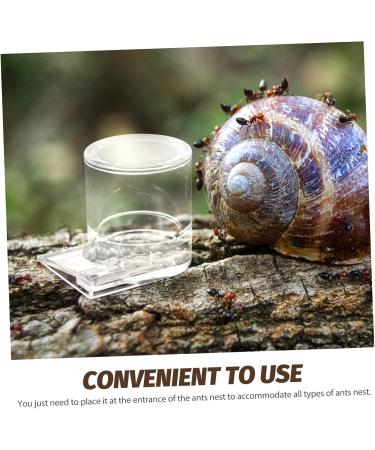 ORFOFE Pet Water Feeder Ant Waterer Ant Feeder Station Ant Bottle Feeder Ant Water Drinking Cup Plastic - Buy Online on SooperMarket.com