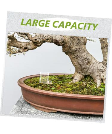Balacoo Pet Water Feeder Ants Watering Cup Ants Drinking Bowls Water Feeding Cup for Ants Nest Plastic - Buy Online on SooperMarket.com