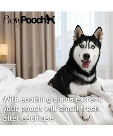 Pooch Tangle-Free Detangling Spray - Leave-In Conditioner for Dogs - 250ml - Buy Online on SooperMarket.com