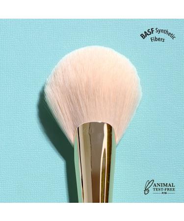 Big Fan Brush